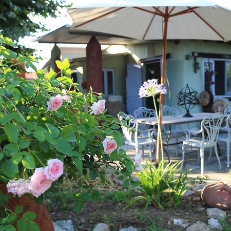 Lo Chalet Dell'Artista Torre del Lago Puccini Zewnętrze zdjęcie
