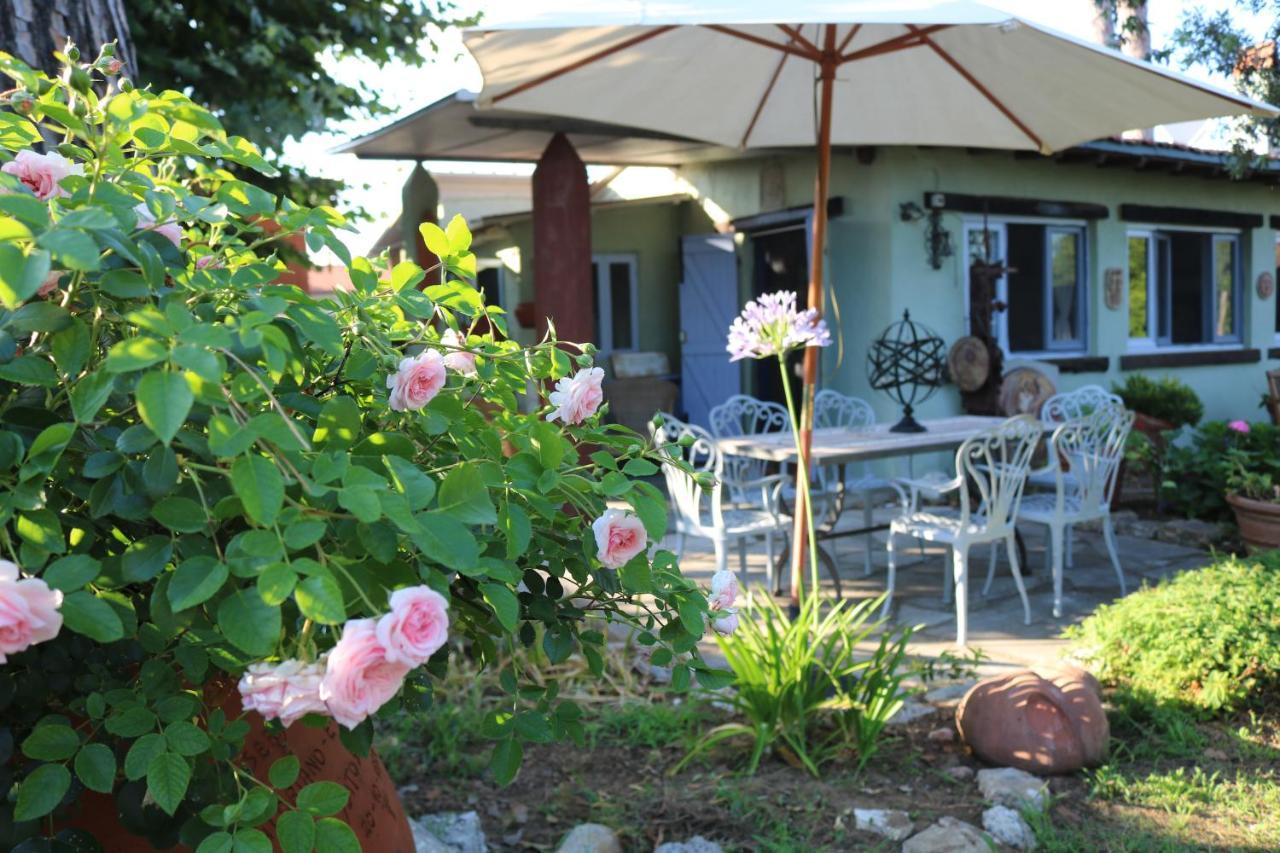 Lo Chalet Dell'Artista Torre del Lago Puccini Zewnętrze zdjęcie