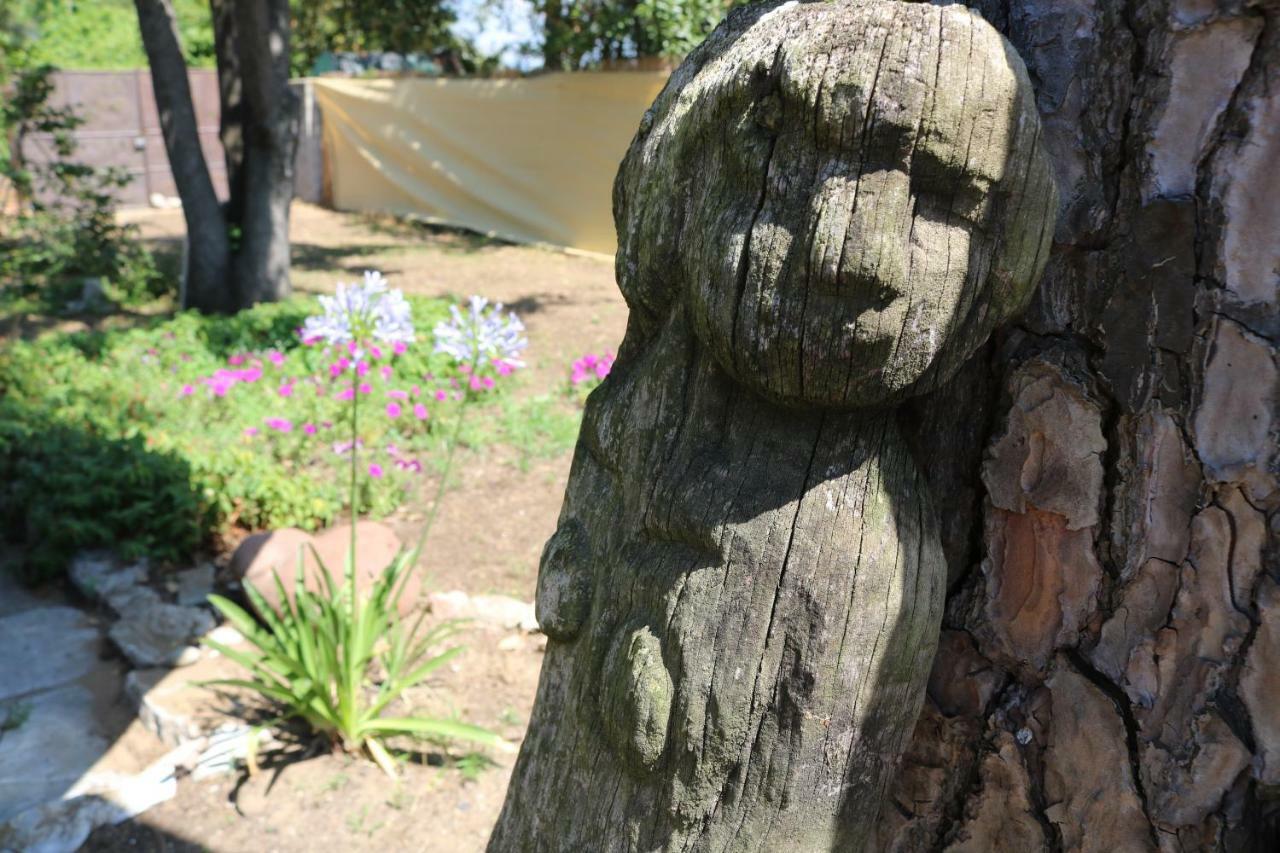 Lo Chalet Dell'Artista Torre del Lago Puccini Zewnętrze zdjęcie